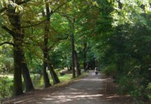 Bürgerpark Pankow: Ein beliebtes Ausflugsziel in Berlins Vororten