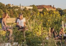 Зелений туризм у Берліні та його вплив на екологію міста