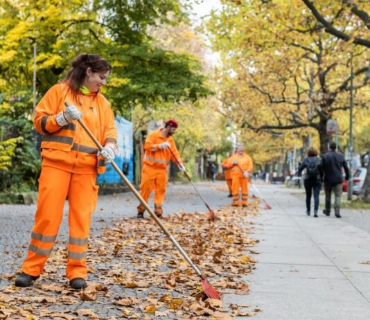 Was tun mit dem Herbstlaub in Berlin und wer ist für die Beseitigung zuständig?
