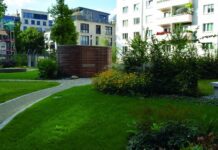 Begrünung Berlins: Warum sie wichtig ist und welche Herausforderungen sie behindern können