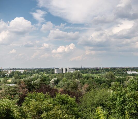 Берлинский парк Мариенфельде – живописный уголок и зона отдыха