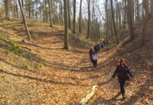 Wie eine ehemalige Deponie aus dem letzten Jahrhundert beinahe zur Zeitbombe wurde