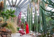 Ботанічний сад Берліна — один з найбільших у світі