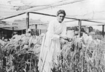 Елізабет Шиман — перша жінка, яка стала членкинею Товариства Макса Планка