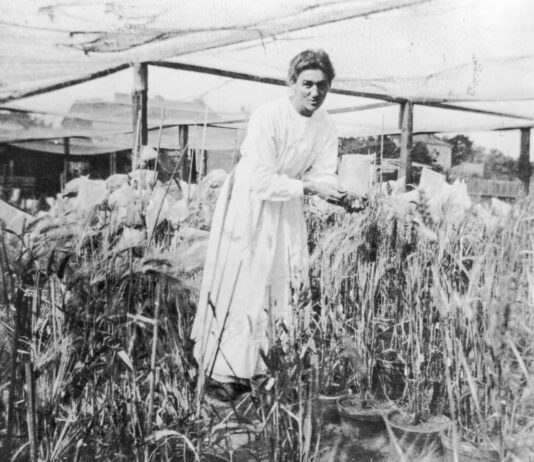 Элизабет Шиман — первая женщина, ставшая членом Общества Макса Планка