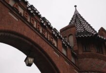 Берлінська група «Borsig», у якої Британія — батьківщина парових локомотивів, купувала паротяги