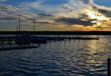 Особливості берлінської риболовлі — зручний, швидкий і безпечний спосіб отримати ліцензію