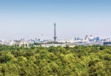 Грюневальд – таємниці берлінського лісу