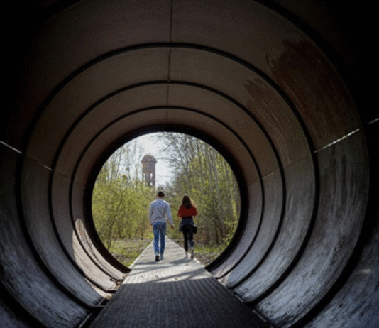 Паротяги, сталь і дерева: історія Природного парку Зюдгеланде