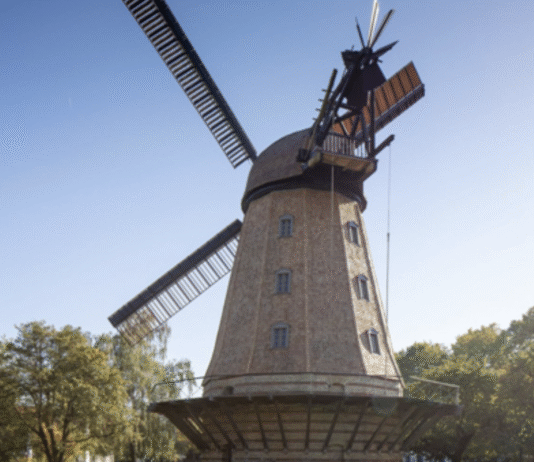 Крила історії: як живе найстаріший млин столиці – Брітцер?