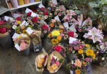Best Blumen
