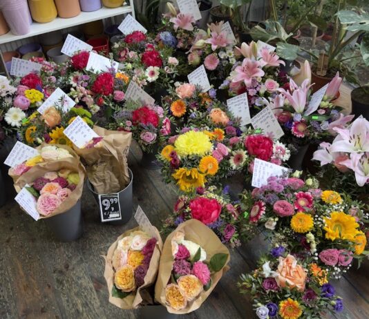 Best Blumen