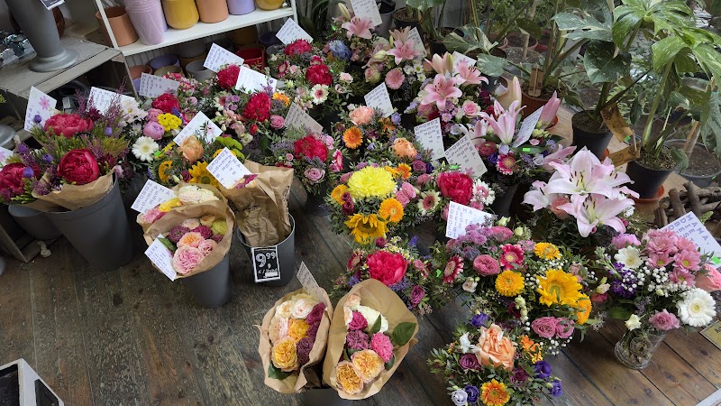 Best Blumen