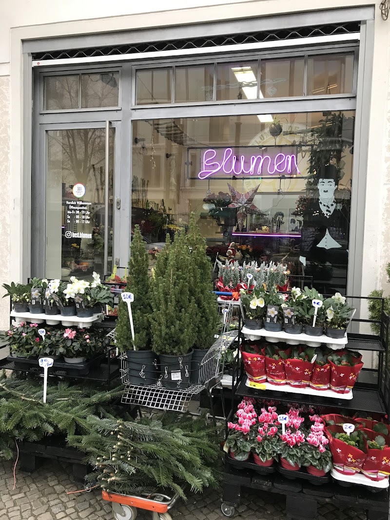 Best Blumen