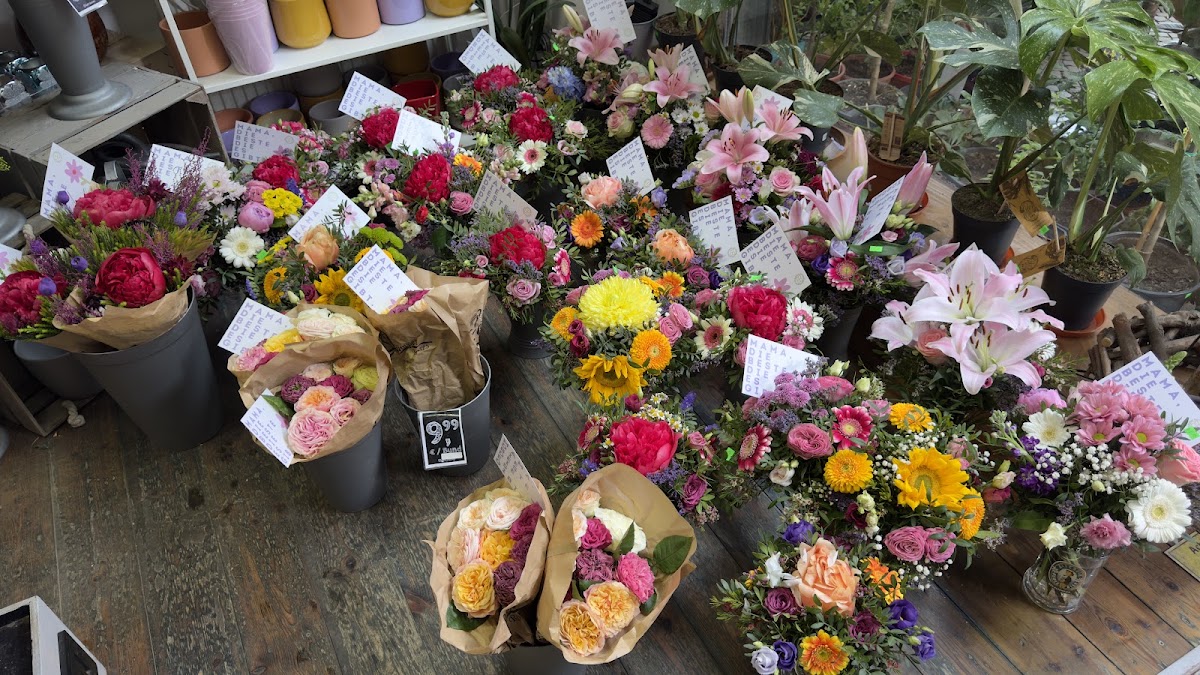Best Blumen — Florist