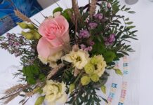 Blumen-Holm