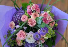 Blumen Seerose