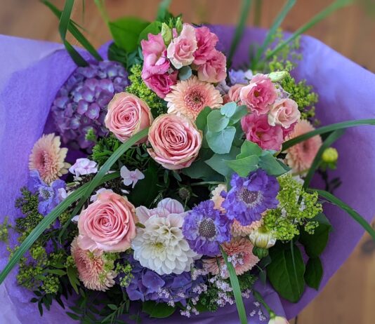 Blumen Seerose