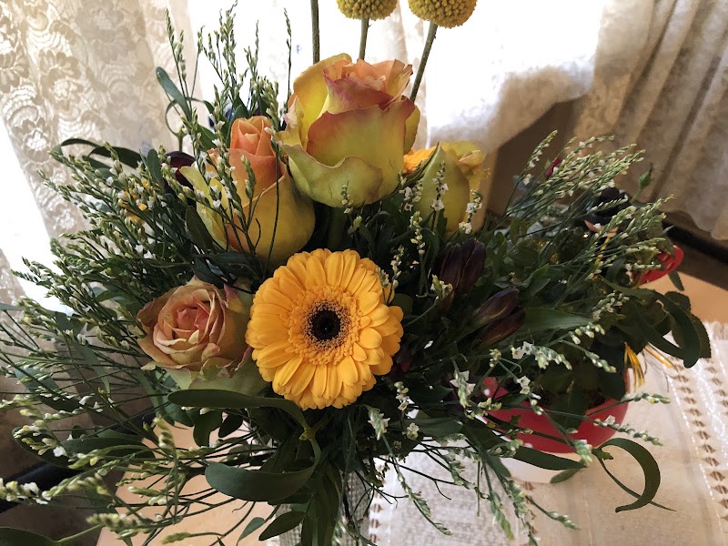 Blumen Seerose