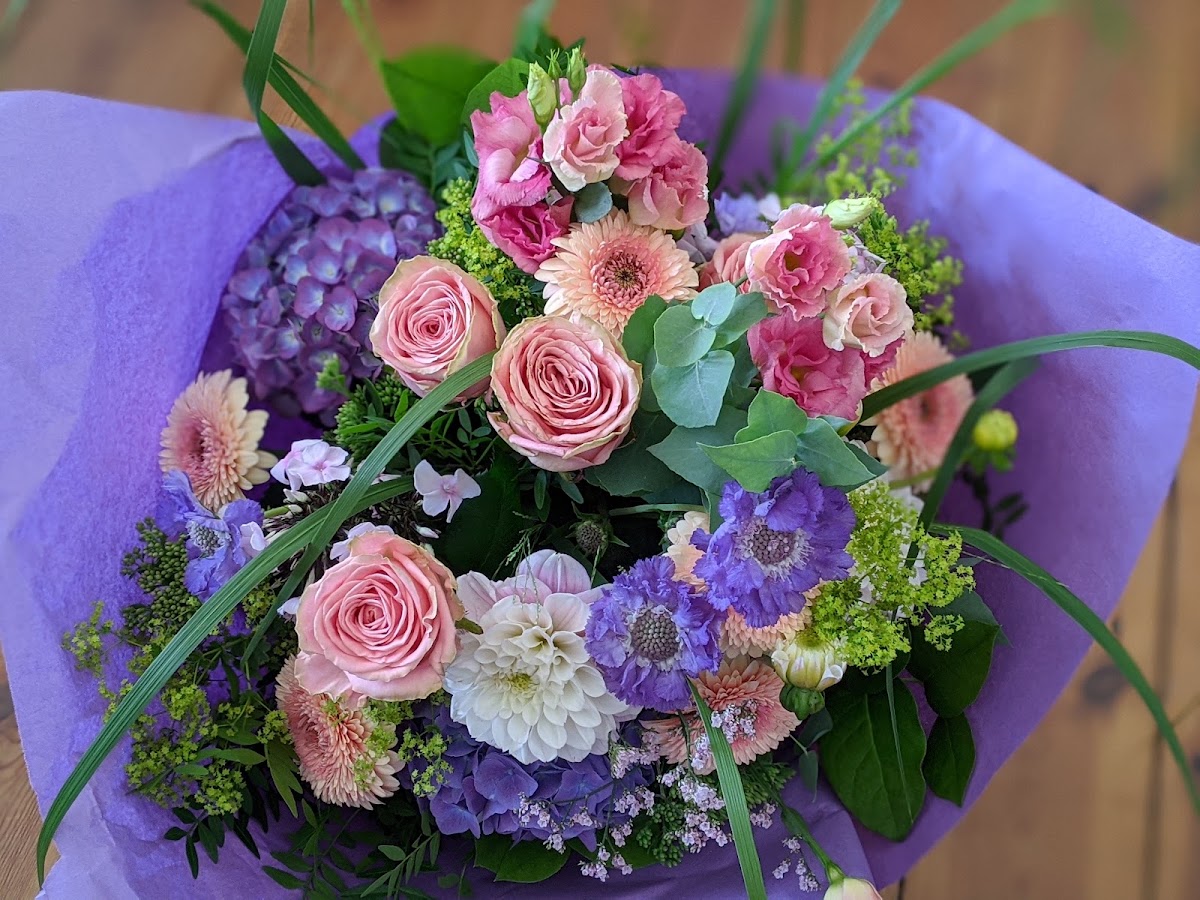 Blumen Seerose — Florist