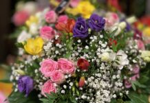 Blumen Vanessa am Potsdamer Platz