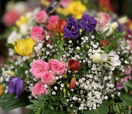 Blumen Vanessa am Potsdamer Platz