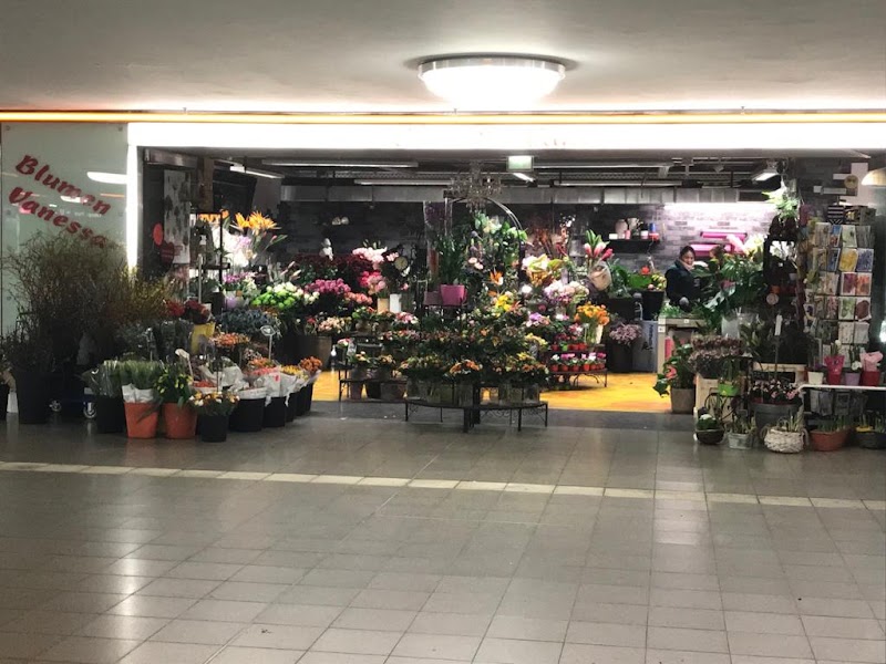 Blumen Vanessa am Potsdamer Platz