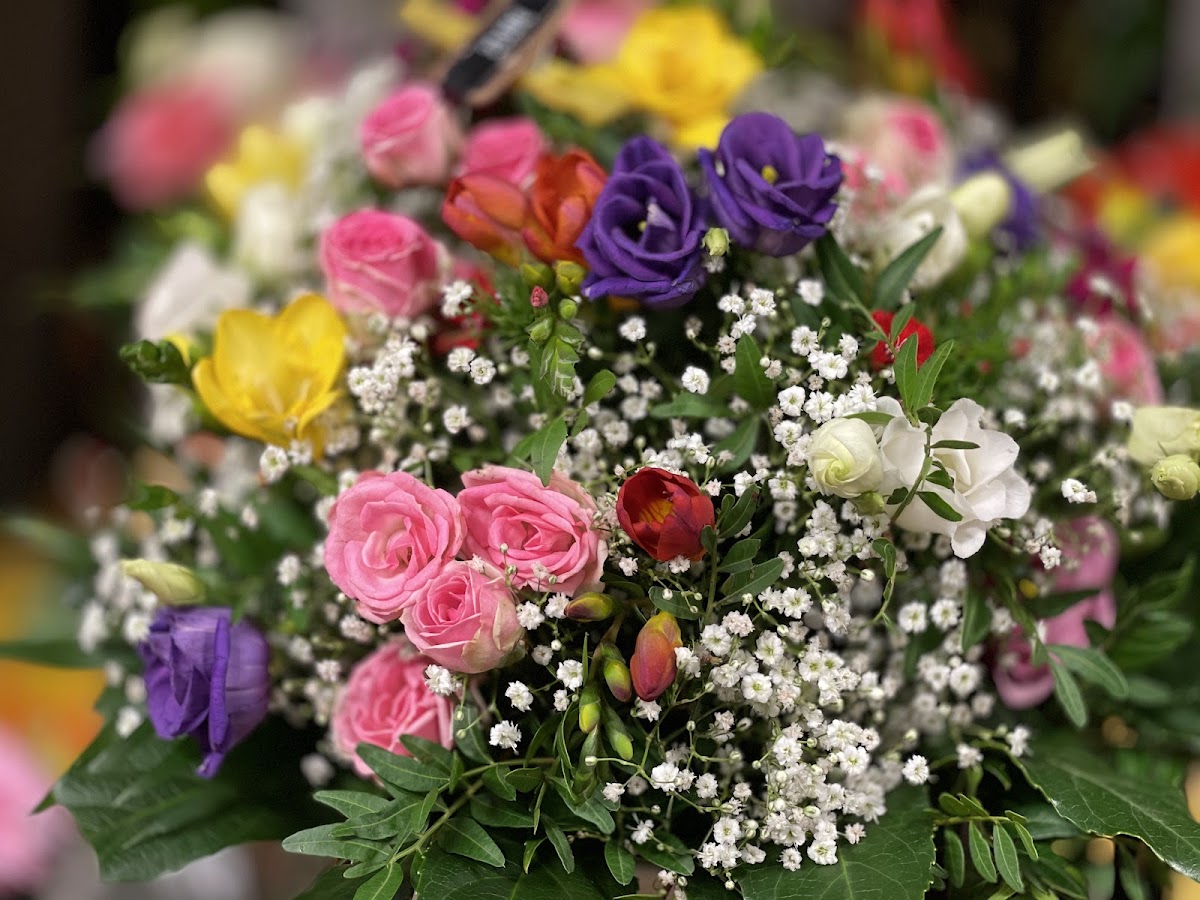 Blumen Vanessa am Potsdamer Platz — Florist