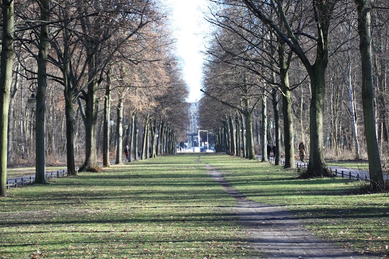 Großer Tiergarten