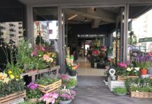 Kians Garden | Blumenladen Berlin