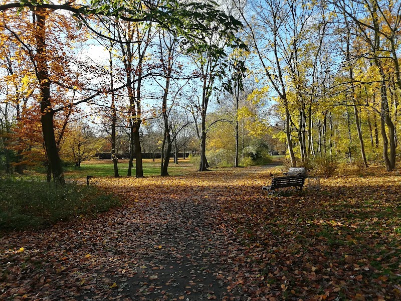 Volkspark Rehberge
