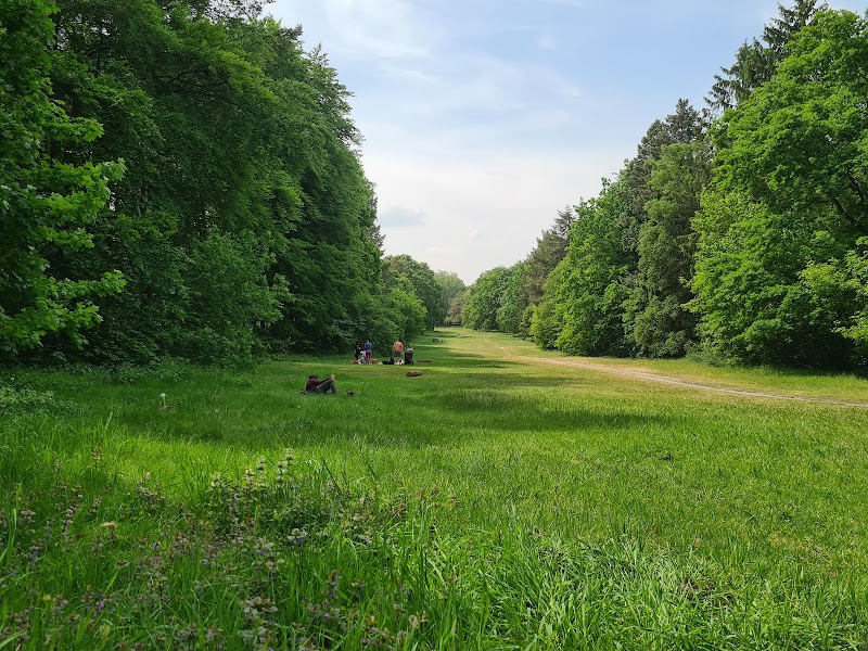 Volkspark Rehberge