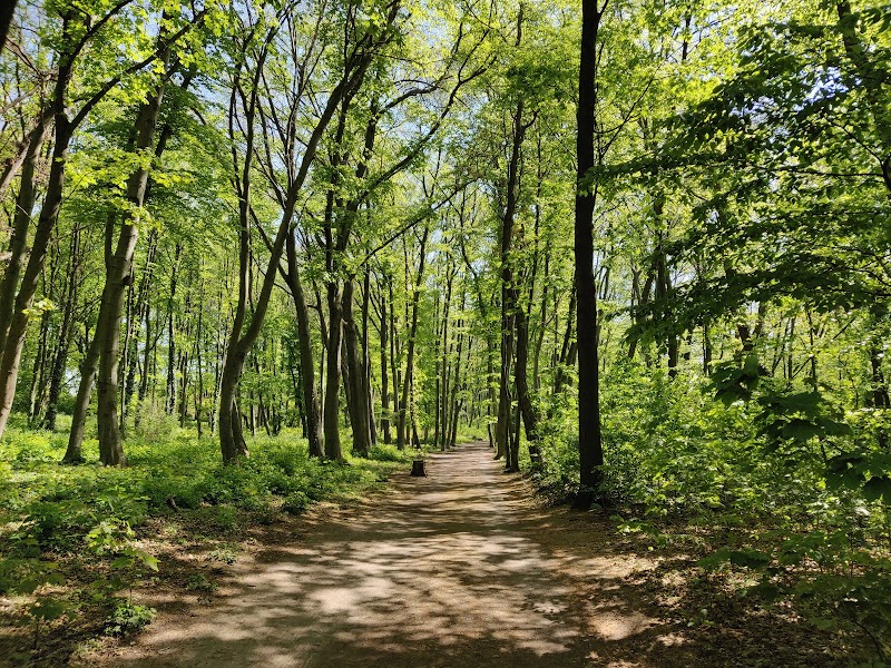 Volkspark Rehberge