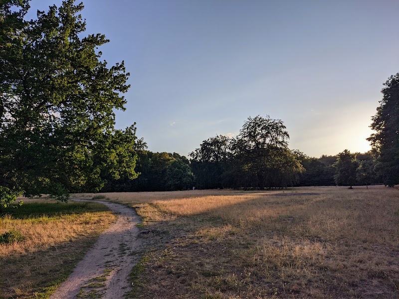 Volkspark Rehberge